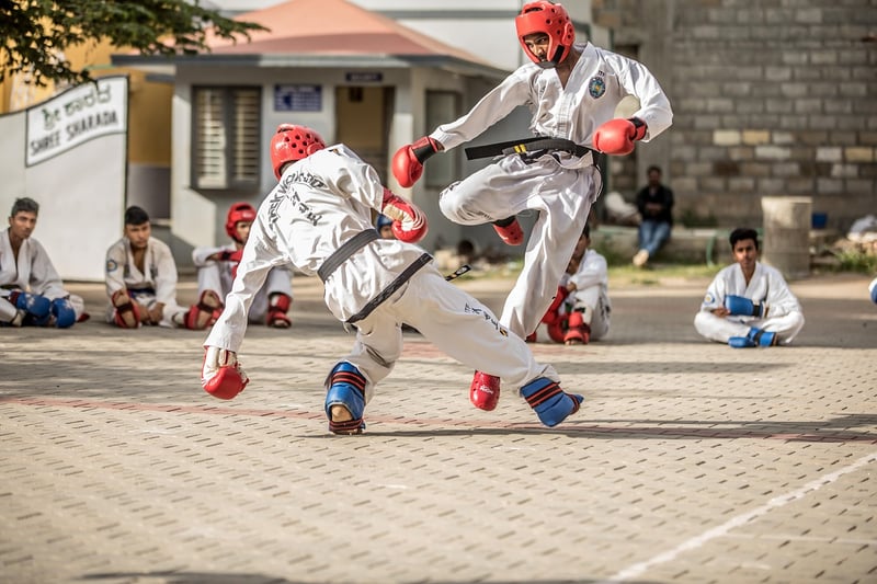 Taekwondo kicks