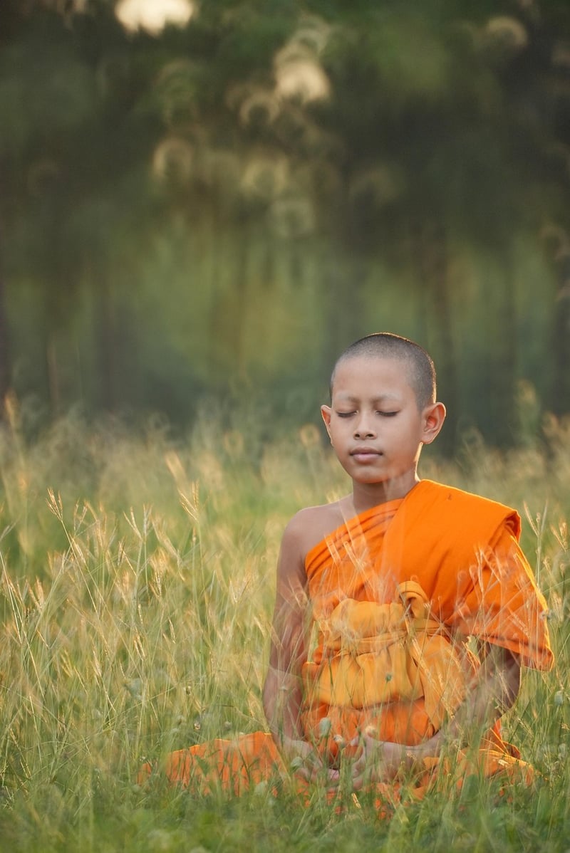 Harmony in Qigong